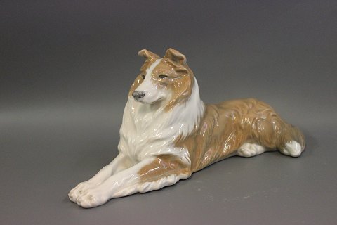 Royal Copenhagen figurine no. 1701. Collie Design Peter Herold. 
5000m2
Showroom