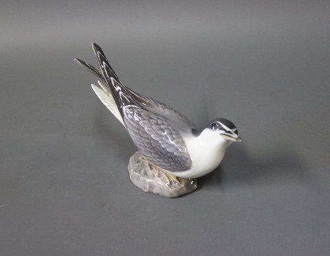 Little Tern, no. 1319, by Dahl Jensen.
5000m2 showroom.