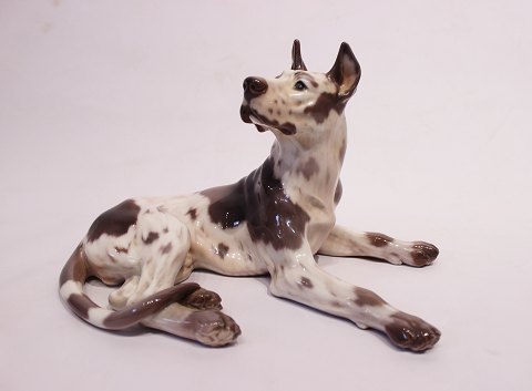 Dahl Jensen porcelain figurine, laying Grand Danois, no.: 1112.
5000m2 showroom.