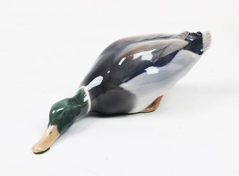 Royal Copenhagen porcelain figure of lying duck, no.: 1934.
5000m2 showroom.