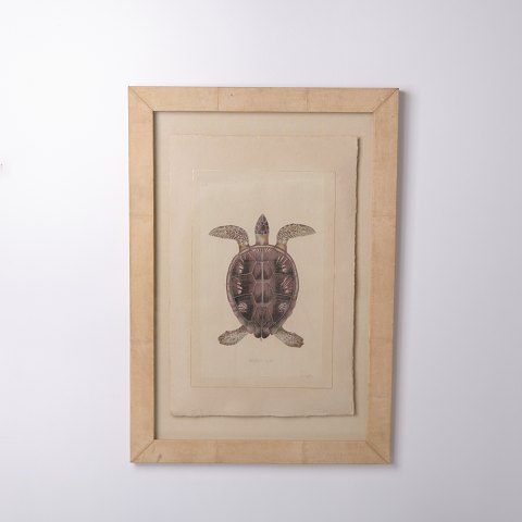 Tryk med motiv af skildpadde i ramme fra 1980’erne
