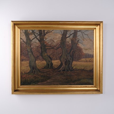 Oliemaleri med Skovlandskab og Gamle Krogede Træer i Profileret Guldramme 80 x 101 cm