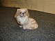 Royal figurine No. 1772,  Pekinese dog, first selection. 
5000 m2 showroom.