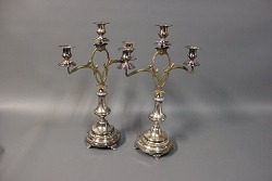 item no: 261817