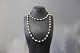 Long necklace consisting of fresh Water Pearls and bloodstones.
5000m2 showroom.
