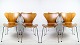 Sæt af 8 Syver stole, model 3107, teak, Arne Jacobsen, Fritz Hansen, 1950
Flot stand
